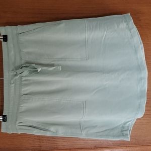 NWT - LOFT- Lou & Grey - Light Green MIDI Skirt